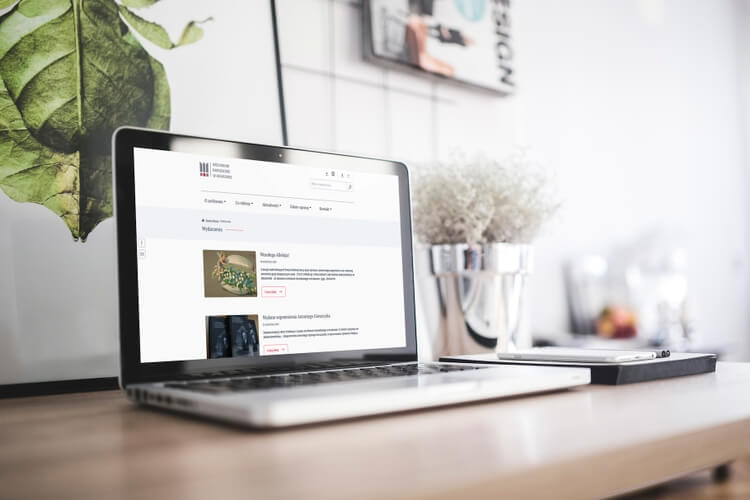 Site visualization on a laptop