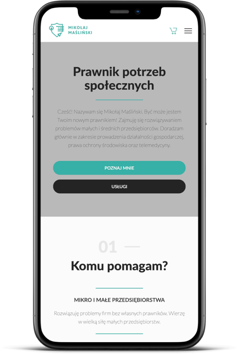 Wordpress development - visualize the buttons on the website