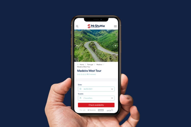Visualize the website on the phone screen